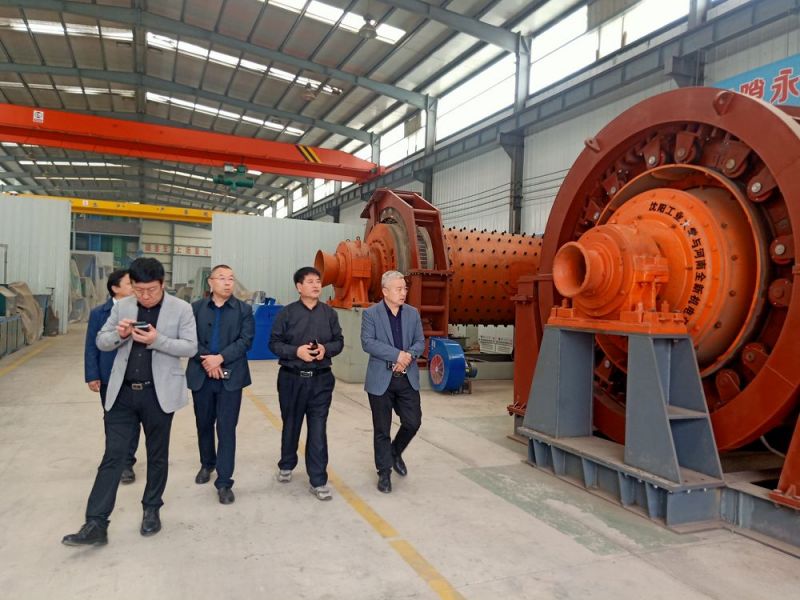 市領（lǐng）導來公司考察高（gāo）低壓電機和永磁直驅球磨機